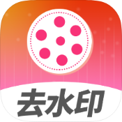 去水印视频解析破解版v1.1.26