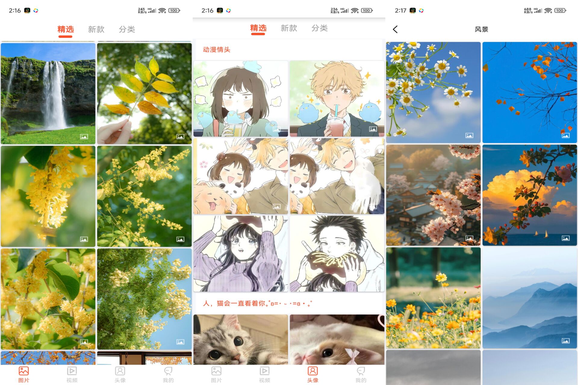好看手机壁纸 软件截图 1