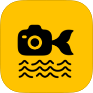 鱼丸水印相机破解版v1.7.4